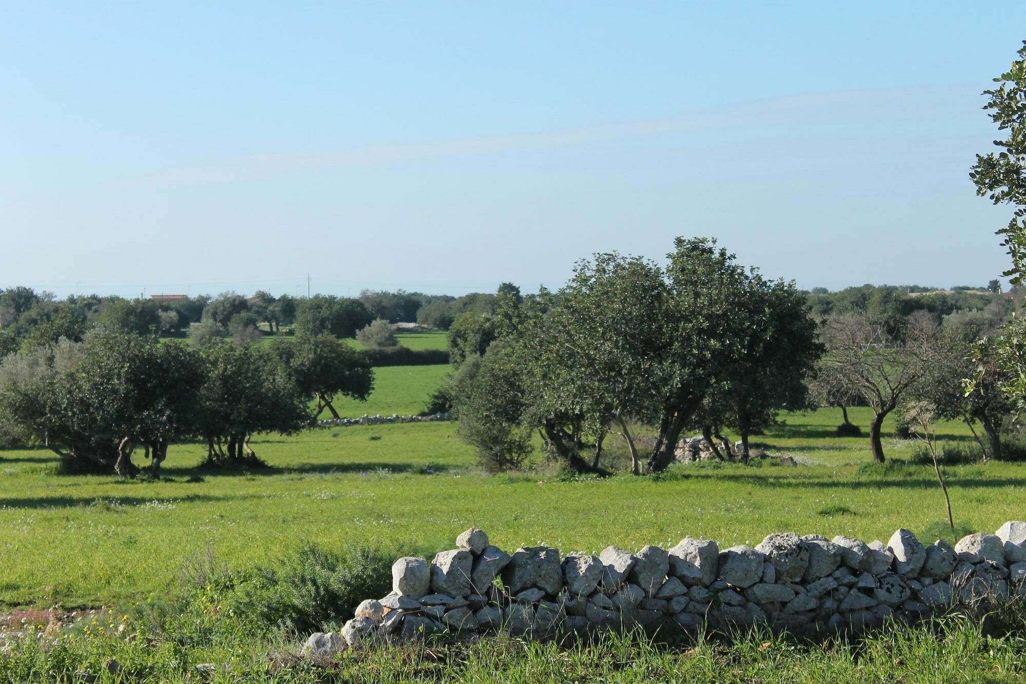 Agriturismo Le Chiuse Di Guadagna Scicli Buitenkant foto